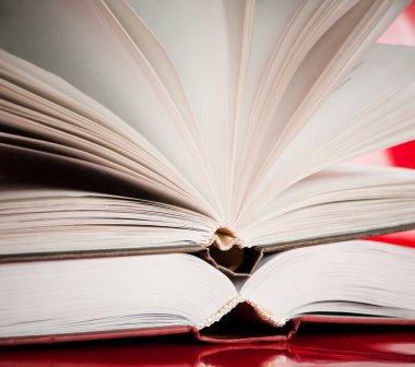 iki açık kitap