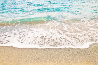 plaj ve tropikal deniz