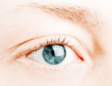 Human blue eye. macro shooting