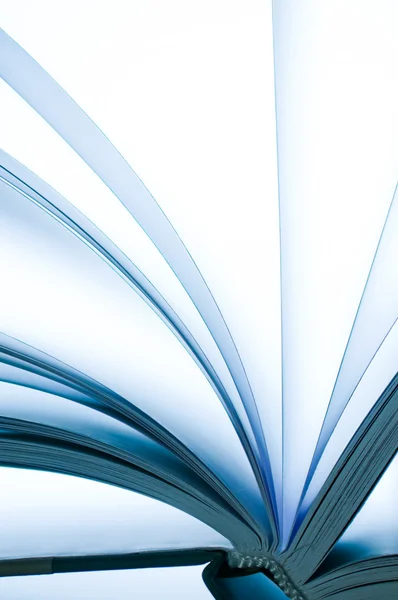 bir kitabın sayfaları