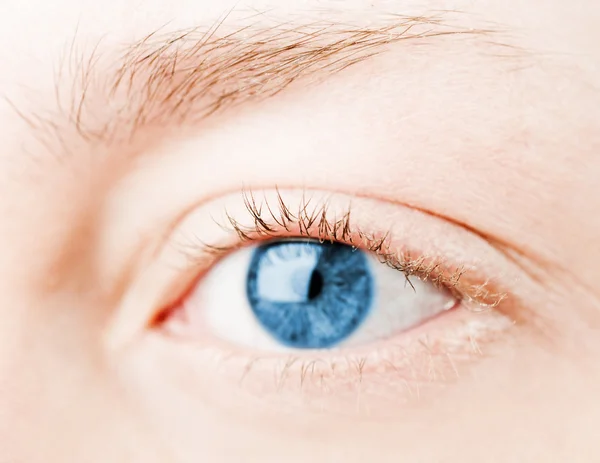Occhio blu umano. macro ripresa — Foto Stock