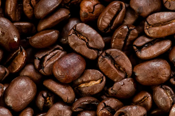 Texture des grains de café — Photo