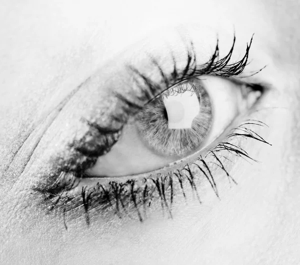 Beautiful female eye — Stock Photo, Image