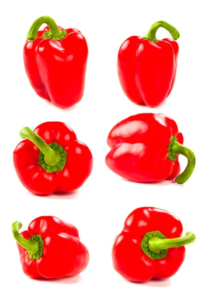Set of fresh red peppers — Stock Photo, Image