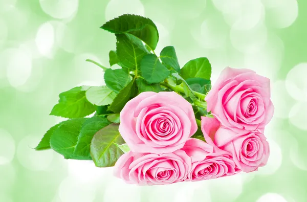 一束美丽的粉红玫瑰 — 图库照片