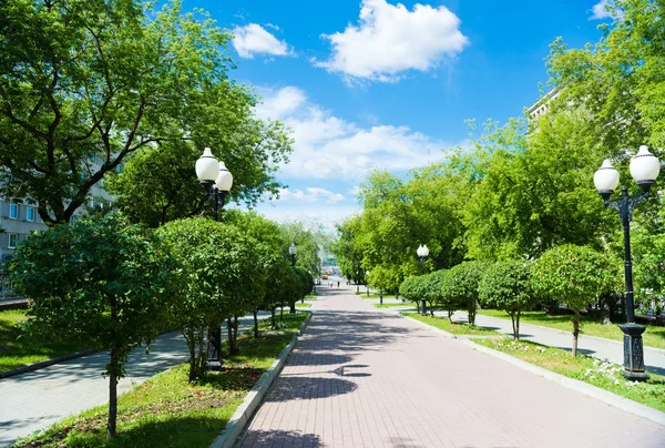 Prachtig park steegje in de zomer — Stockfoto