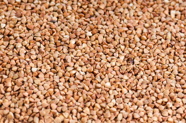 Buckwheat texture — Stock Photo, Image