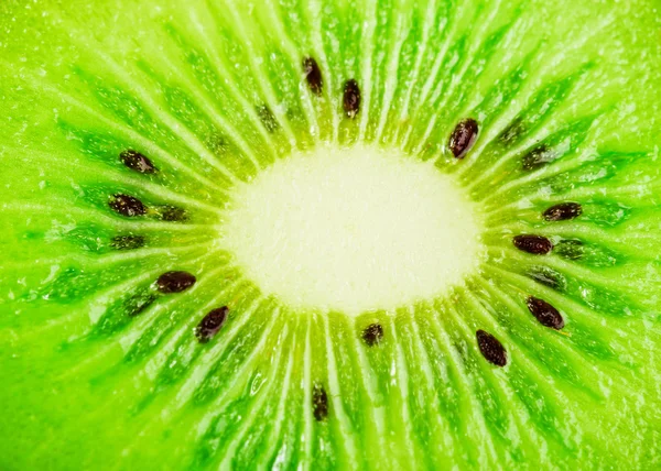 Close up of a healthy kiwi fruit — Stock Photo, Image