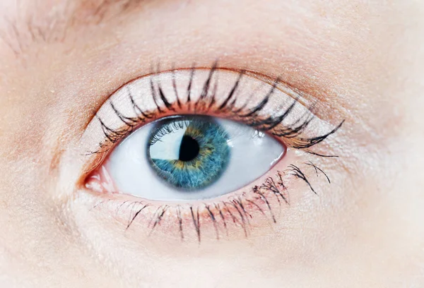 Human blue eye. macro shooting — Stock Photo, Image