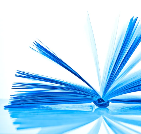 Libro aperto blu su bianco — Foto Stock