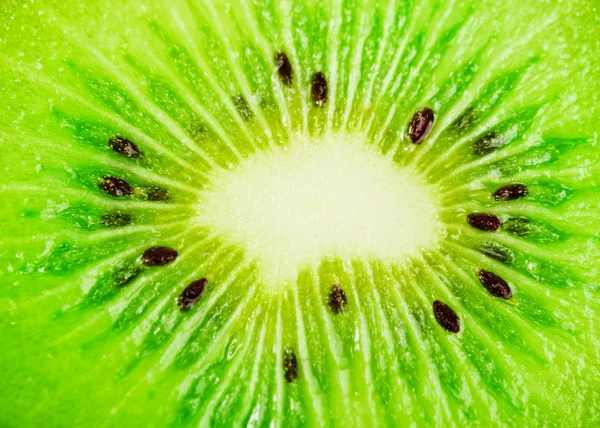 Close up of a healthy kiwi fruit — Stock Photo, Image