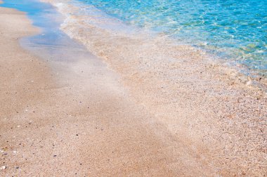 plaj ve tropikal deniz