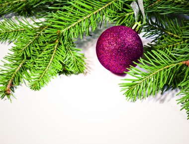 Çamın dalları ve izole xmas topu