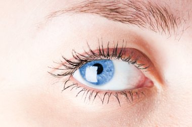 insan gözü. makro çekim