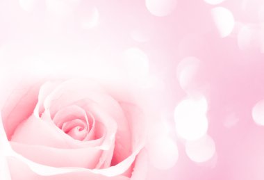 pembe Gül