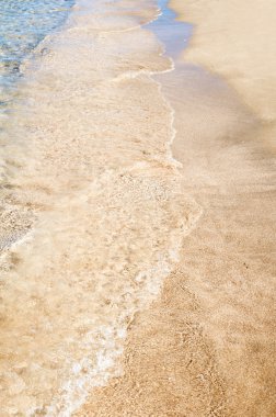 plaj ve tropikal deniz