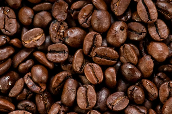 Texture des grains de café — Photo
