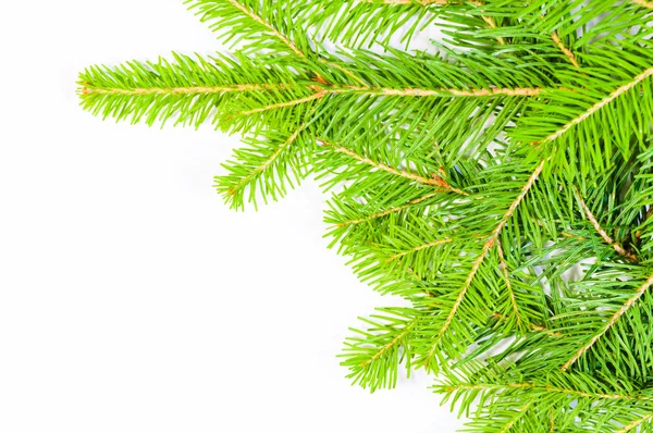 Close up view of the Christmas tree isolated on white — Stock Photo, Image
