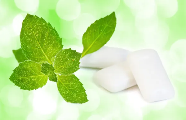 Palestra da masticare e foglie fresche di menta — Foto Stock