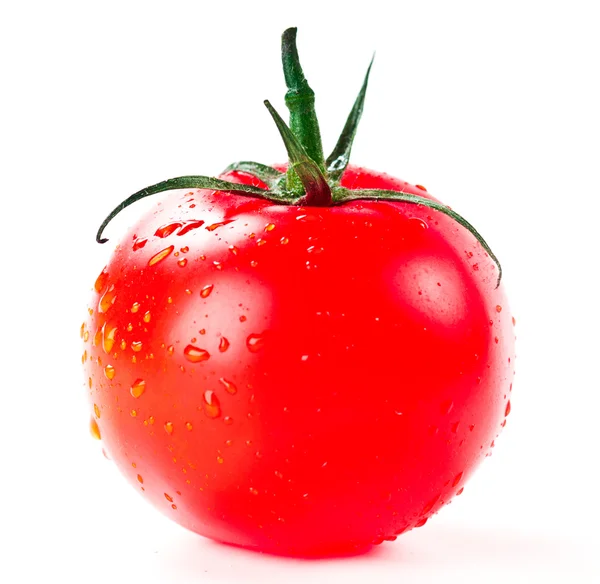 Tomate rojo —  Fotos de Stock