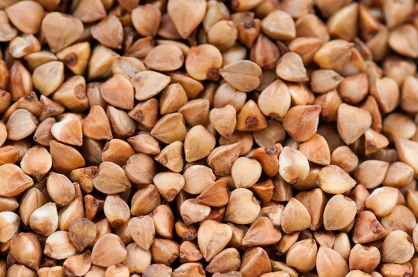 Textura de trigo sarraceno —  Fotos de Stock