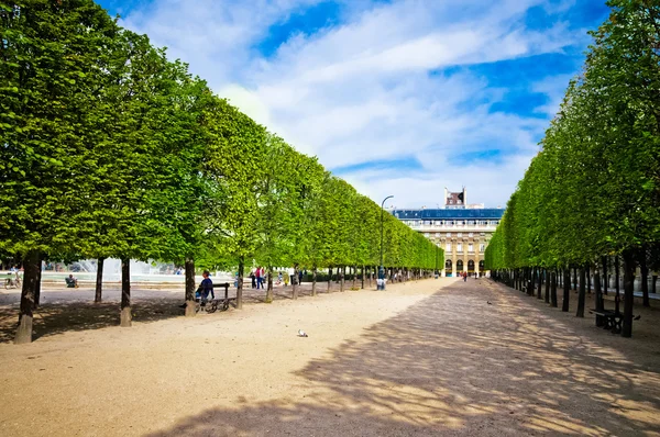 雕刻"王宫"在巴黎的花园里的树木小巷 — 图库照片