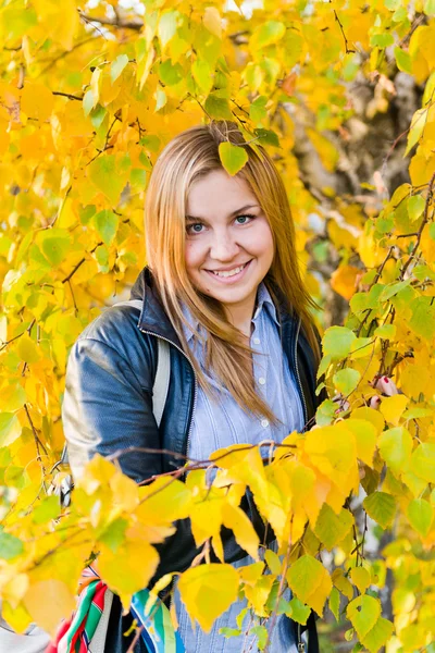 Sarı yapraklar sonbaharda kadın portresi yukarıya kapatmak — Stok fotoğraf