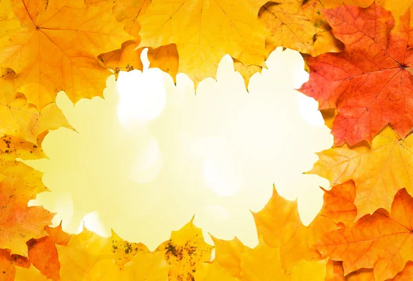 秋のフレーム — ストック写真