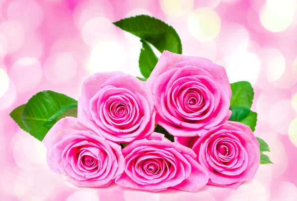 Bouquet of beautiful pink roses — Stock Photo, Image