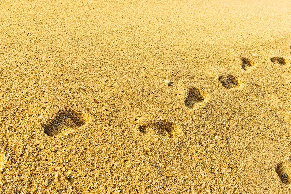 泡が付いている砂の足跡 — ストック写真