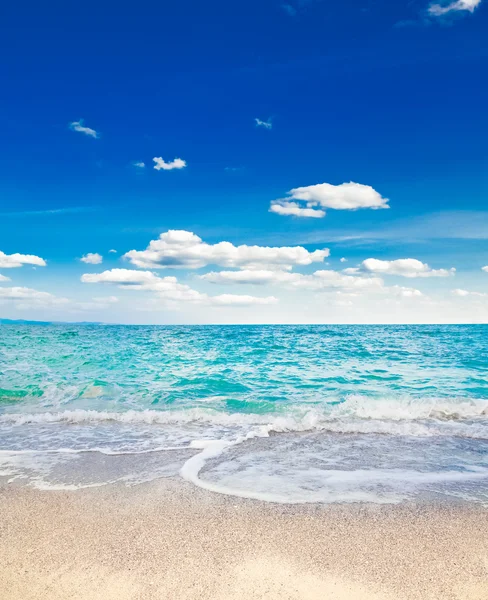 Beach and tropical sea — Stock Photo, Image