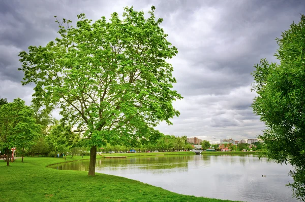 Lago al parco urbano, Mosca, Russia — Foto Stock