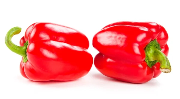 Deux poivrons rouges frais sur blanc — Photo