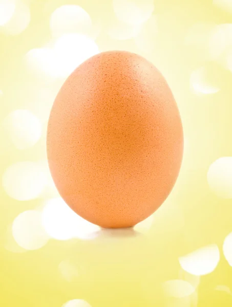 One egg Stock Image