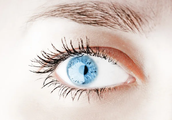 Human eye — Stock Photo, Image