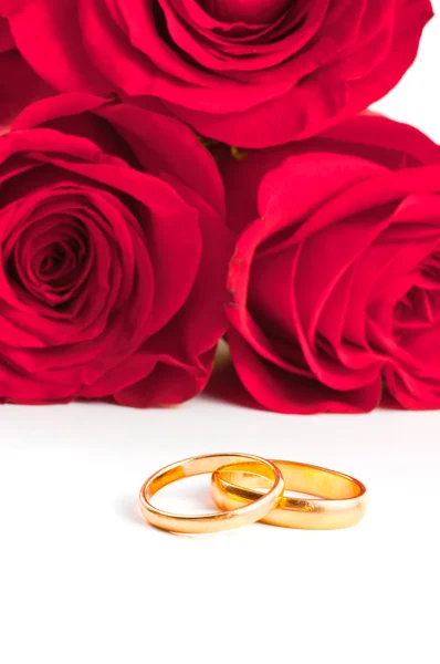 Duas faixas de casamento de ouro ao lado de uma rosa vermelha . Fotografia De Stock