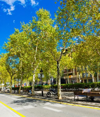 Barselona sokaklarında. İspanya.