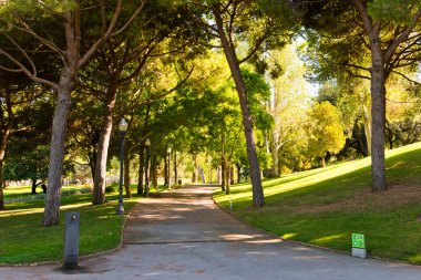 Park hill montjuic Barcelona üzerinde. İspanya