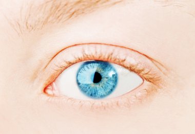Human blue eye. macro shooting