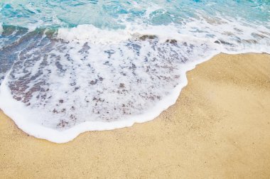 plaj ve tropikal deniz