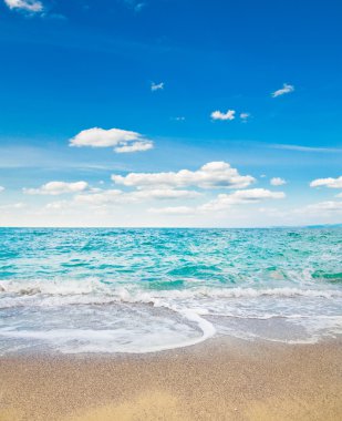 plaj ve tropikal deniz