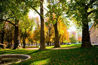 yeşil park döküm uzun gölgeler güneşte düşük ayarı