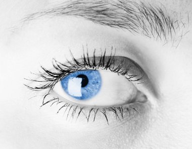 insan gözü. makro çekim