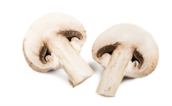 Champignon mushrooms isolated on white background — Stock Photo, Image