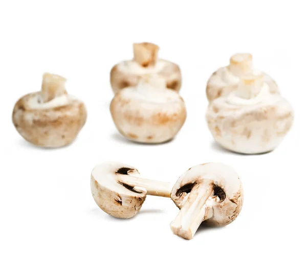 Cogumelos champignon isolados sobre fundo branco — Fotografia de Stock