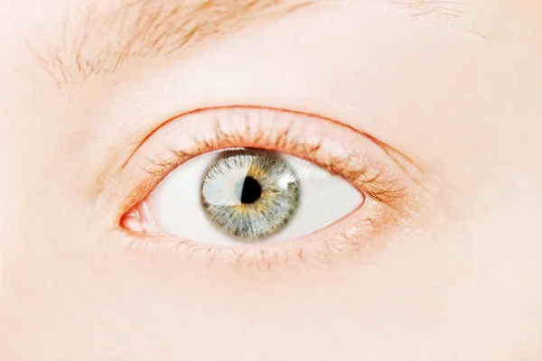 Human gray eye. — Stock Photo, Image