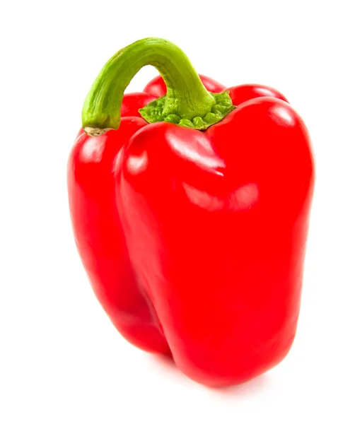Φρέσκο κόκκινο πιπέρι — Φωτογραφία Αρχείου