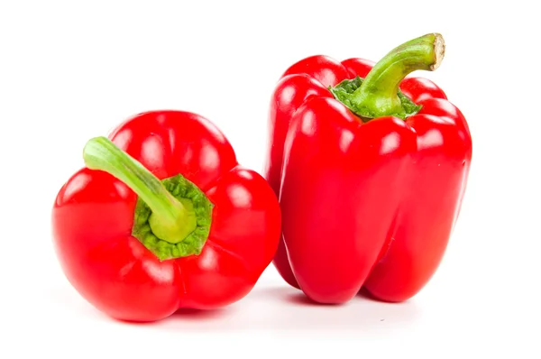 Zwei frische rote Paprika auf weiß — Stockfoto