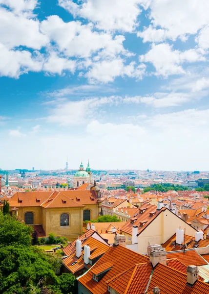 Pohled na město Praha z kopce — Stock fotografie