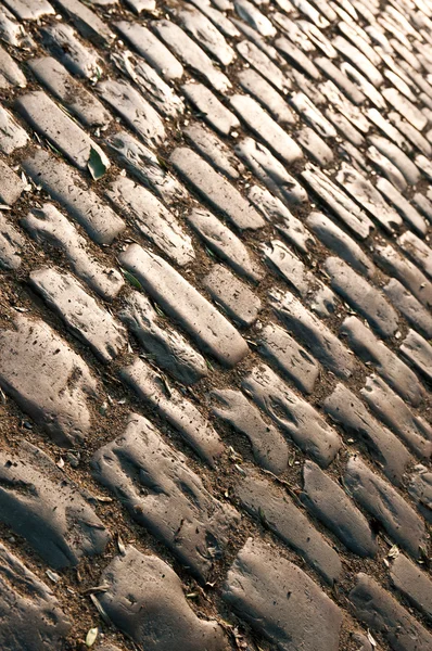 Sepia cobblestone — Stock Photo, Image